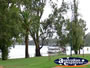 Mildura Murray River . . . CLICK TO ENLARGE