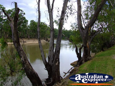 Swan Hill Murray River . . . VIEW ALL SWAN HILL PHOTOGRAPHS