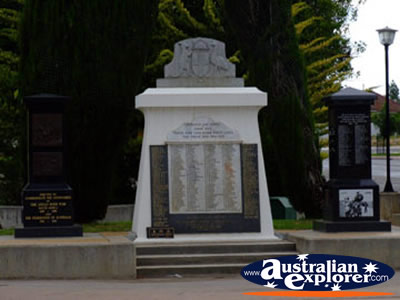 Swan Hill Memorial . . . CLICK TO VIEW ALL SWAN HILL POSTCARDS