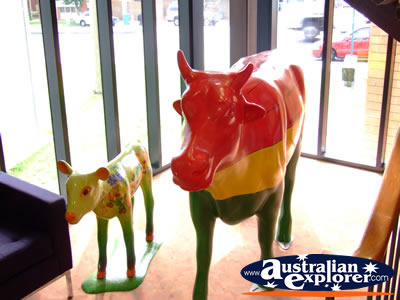 Shepparton Cow Statues . . . CLICK TO VIEW ALL SHEPPARTON POSTCARDS