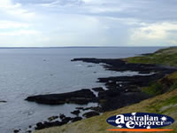 View of Phillip Island from the Nobbies . . . CLICK TO ENLARGE