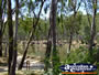 Cobram Murray River . . . CLICK TO ENLARGE