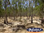 Dry Flood Plains in Cobram . . . CLICK TO ENLARGE