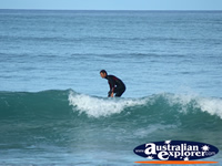 Surfers in the Ocean at Apollo Bay . . . CLICK TO ENLARGE