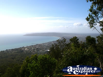 Great View from Arthurs Seat Murrays Lookout . . . VIEW ALL ARTHURS SEAT PHOTOGRAPHS