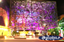 Night Shot of Federation Square . . . CLICK TO ENLARGE