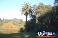 Melbourne Botanical Gardens . . . CLICK TO ENLARGE