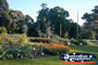 Melbourne Botanical Gardens View . . . CLICK TO ENLARGE
