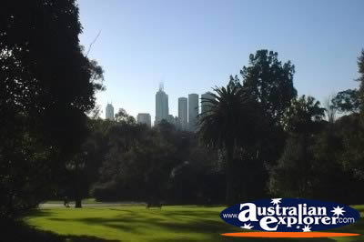 The Landscape of Melbourne City . . . CLICK TO VIEW ALL MELBOURNE (BOTANICAL GARDENS) POSTCARDS