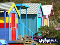 Bright Beach Huts . . . CLICK TO ENLARGE