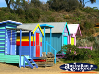 Beach Huts . . . CLICK TO ENLARGE