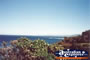 Ocean Road . . . CLICK TO ENLARGE