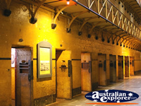 Cell Doors in the Old Melbourne Gaol . . . CLICK TO ENLARGE