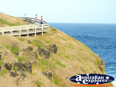 Nobbies Headland . . . CLICK TO VIEW ALL PHILLIP ISLAND (THE NOBBIES) POSTCARDS