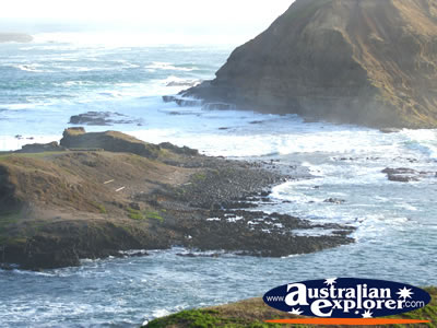 Nobbies on Phillip Island . . . CLICK TO VIEW ALL PHILLIP ISLAND (THE NOBBIES) POSTCARDS