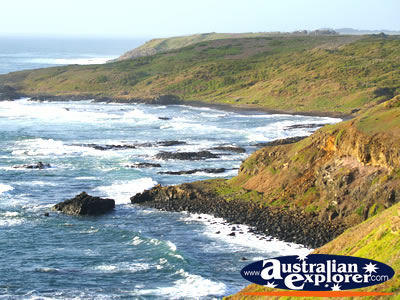 Pretty Coastline at Nobbies . . . CLICK TO VIEW ALL PHILLIP ISLAND (THE NOBBIES) POSTCARDS