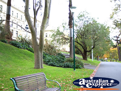 Pathways through Treasury Gardens . . . CLICK TO VIEW ALL MELBOURNE (TREASURY GARDENS) POSTCARDS