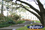 Treasury Gardens in Melbourne