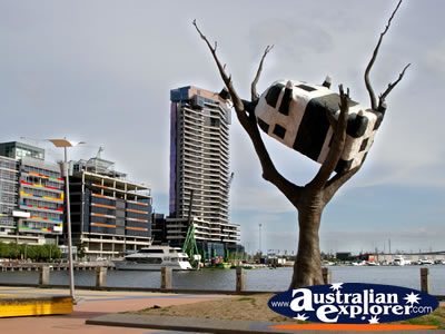 Sculpture on the Harbour . . . CLICK TO VIEW ALL MELBOURNE (VICTORIA HARBOUR) POSTCARDS