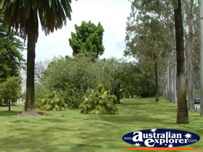 Perth's Greenery . . . CLICK TO VIEW ALL PERTH POSTCARDS