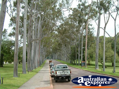 Street in Perth . . . CLICK TO VIEW ALL PERTH POSTCARDS