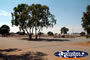 Meckering View on Way to Merredin . . . CLICK TO ENLARGE
