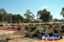 View of Meckering on Way to Merredin . . . CLICK TO ENLARGE