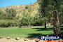 View from Lake Argyle Picnic Spot . . . CLICK TO ENLARGE