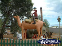 Coolgardie Outdoor Collection . . . CLICK TO ENLARGE