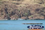Lake Argyle and Boat . . . CLICK TO ENLARGE
