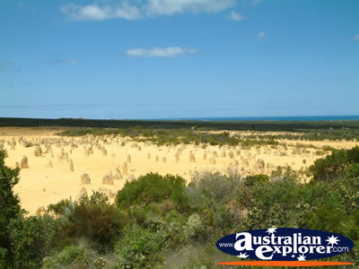 The Pinnacles in Cervantes Western Australia . . . CLICK TO VIEW ALL CERVANTES POSTCARDS