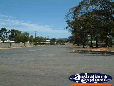 View Down Norseman Street . . . CLICK TO VIEW ALL NORSEMAN POSTCARDS