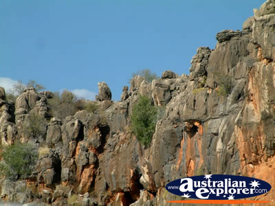Closeup of Fitzroy Crossing Geikie Gorge . . . CLICK TO VIEW ALL GEIKE GORGE POSTCARDS