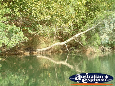 Fitzroy Crossing Geikie Gorge Natural Surroundings . . . VIEW ALL GEIKE GORGE PHOTOGRAPHS