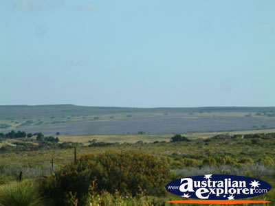 View Between Three Springs & Eneabba . . . VIEW ALL THREE SPRINGS PHOTOGRAPHS