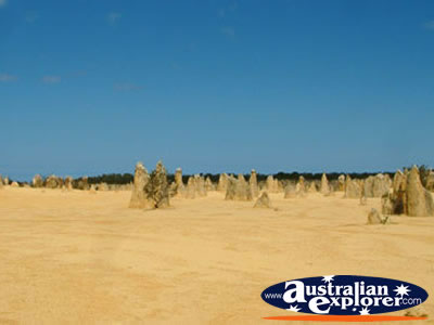 The Pinnacles in Cervantes . . . CLICK TO VIEW ALL PINNACLES POSTCARDS
