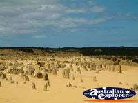 Cervantes the Pinnacles in Western Australia . . . CLICK TO ENLARGE