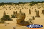 Cervantes the Pinnacles . . . CLICK TO ENLARGE