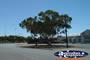 View Down Kambalda Street . . . CLICK TO ENLARGE