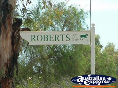 Norseman Street Sign . . . CLICK TO VIEW ALL NORSEMAN POSTCARDS