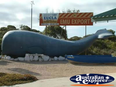 Eucla Whale . . . VIEW ALL EUCLA PHOTOGRAPHS