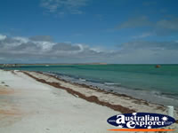 Beautiful Denham Shark Bay . . . CLICK TO ENLARGE