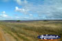 Landscape between Kalbarri and Northampton . . . CLICK TO ENLARGE