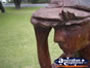 Wood Carving at Arthur Norah Breeden Park . . . CLICK TO ENLARGE