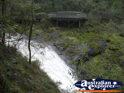 View Over the Beedelup Falls . . . CLICK TO VIEW ALL BEEDELUP POSTCARDS
