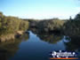 Mangrove Cove Scenery