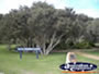 Busselton Waljin Aboriginal Garden . . . CLICK TO ENLARGE