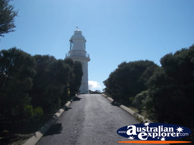 Path leading to Cape Naturaliste Lighthouse . . . VIEW ALL CAPE NATURALISTE PHOTOGRAPHS