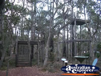 Jarrah Canopy Walk Forest Heritage Centre in Dwellingup . . . CLICK TO ENLARGE