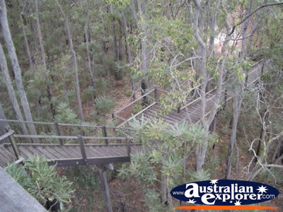 View Jarrah Canopy Walk Forest Heritage Centre in Dwellingup  . . . VIEW ALL DWELLINGUP PHOTOGRAPHS